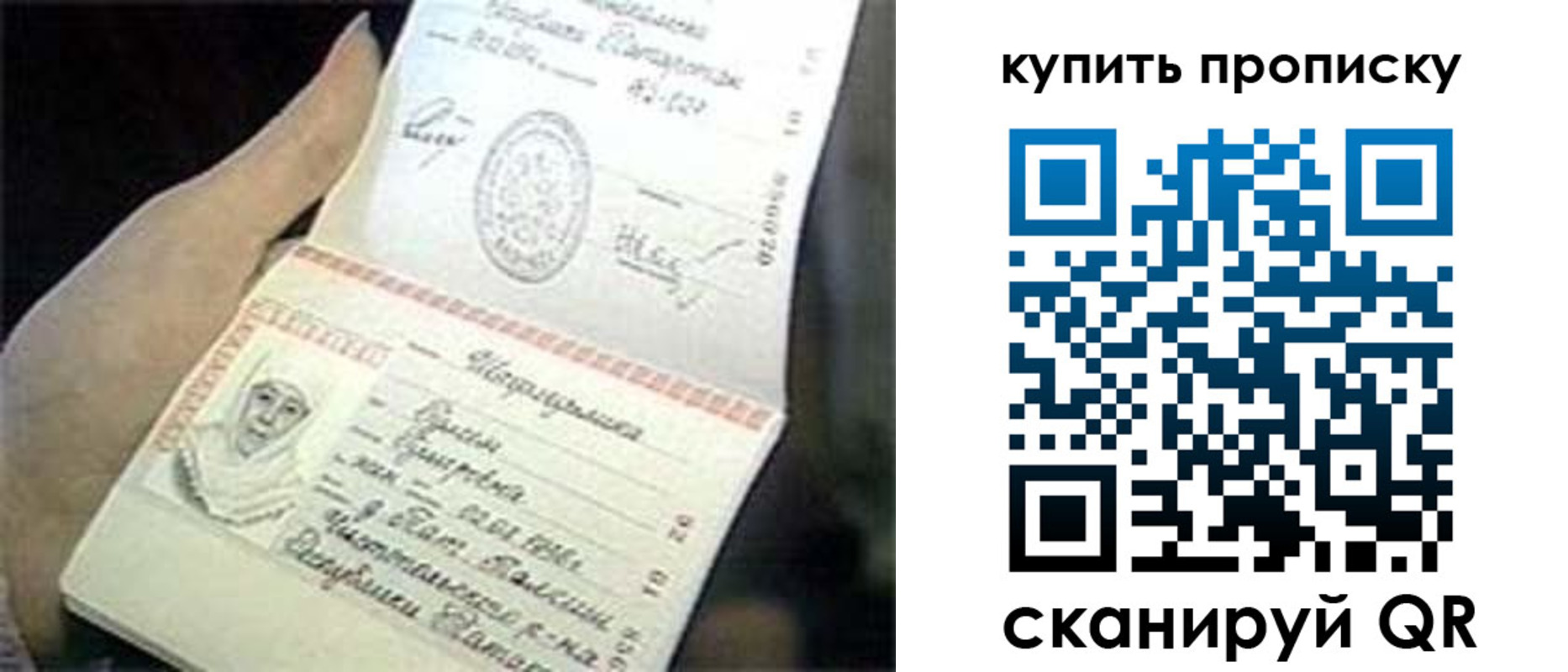 прописка поиск в Лодейном Поле